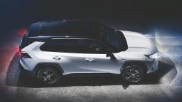 Toyota RAV4 Hybrid (2018)