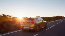 BMW X2 xDrive 20d M Sport X (2018) - widok z tyłu