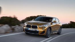 BMW X2 xDrive 20d M Sport X (2018) - inne zdjęcie
