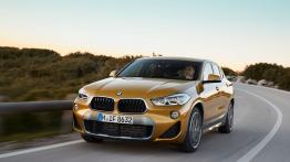 BMW X2 xDrive 20d M Sport X (2018) - inne zdjęcie