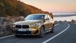 BMW X2 xDrive 20d M Sport X (2018) - inne zdjęcie