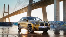 BMW X2 xDrive 20d M Sport X (2018) - inne zdjęcie