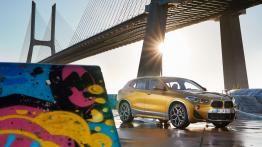 BMW X2 xDrive 20d M Sport X (2018)