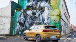 BMW X2 xDrive 20d M Sport X (2018) - widok z tyłu