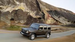 Mercedes-Benz Klasa G (2018) - lewy bok