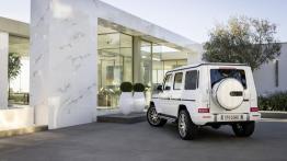 Mercedes-Benz Klasa G (2018) - widok z tyłu
