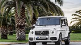 Mercedes-Benz Klasa G (2018) - widok z przodu
