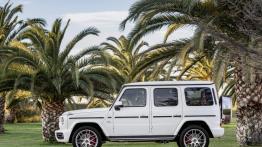 Mercedes-Benz Klasa G (2018) - lewy bok