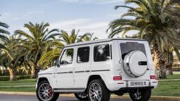 Mercedes-Benz Klasa G (2018) - lewy bok