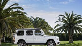 Mercedes-Benz Klasa G (2018) - prawy bok
