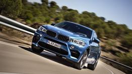 BMW X6 F16 M 4.4 575KM 423kW 2014-2019