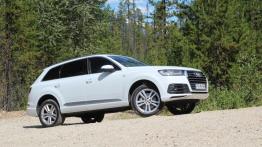 Audi Q7 II SUV 3.0 45 TDI 231KM 170kW 2018-2019