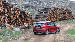 Ford Fiesta VIII Active 1.0 EcoBoost 85KM 63kW 2018-2019