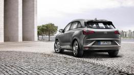 Hyundai Nexo (2019) - widok z tyłu