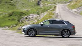 Audi SQ8 TDI (2019) - lewy bok