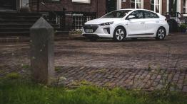 Hyundai IONIQ Electric Synchroniczny z magnesami stałymi 120KM 88kW 2016-2019