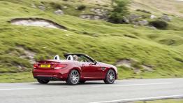 Mercedes SLC Roadster 2.1 250 d 204KM 150kW 2015-2019