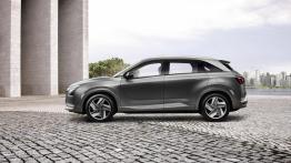 Hyundai Nexo (2019) - lewy bok