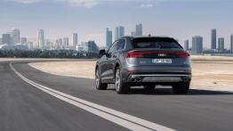 Audi SQ8 TDI (2019) - widok z ty?u