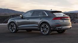Audi SQ8 TDI (2019) - lewy bok