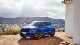 Skoda Kodiaq RS (2019)