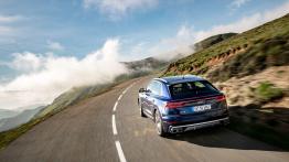 Audi SQ8 TDI (2019) - widok z ty?u