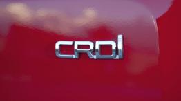 Kia Soul Facelifting (2012) - emblemat