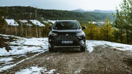 Toyota RAV4 2.5 Hybrid Dynamic Force 218 KM - galeria redakcyjna (2) - widok z przodu