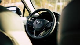 Toyota RAV4 2.5 Hybrid Dynamic Force 218 KM - galeria redakcyjna (2) - inny element panelu przednieg
