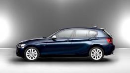 BMW 120d 2012 - lewy bok