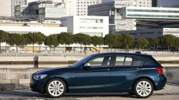 BMW 120d 2012 - lewy bok