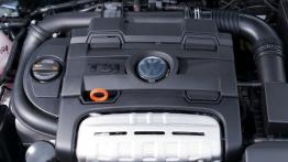 Volkswagen Golf VI Hatchback 3d 1.4 TSI 160KM 118kW 2010-2012