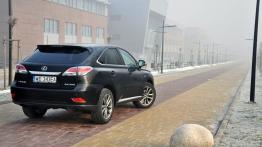 Lexus RX III SUV  Facelifting 350 277KM - galeria redakcyjna 2 - widok z tyłu