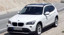 BMW X1 E84 Crossover sDrive20i 184KM 135kW 2011-2012
