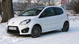 Renault Twingo II Hatchback 3d 1.2 16v 75KM 55kW 2007-2012