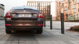 Skoda Octavia III Laurin & Klement - galeria redakcyjna (2) - widok z tyłu