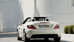 Mercedes SLK 250 CDI 2012 - widok z tyłu