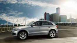 Audi Q5 I SUV 2.0 TDI 143KM 105kW 2010-2012