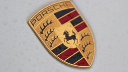 Porsche Panamera S E-hybrid - galeria redakcyjna (2) - logo