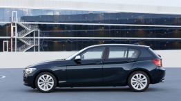 BMW 120d 2012 - lewy bok