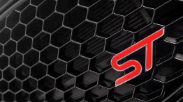Ford Fiesta VII ST 182KM - galeria redakcyjna (2) - logo