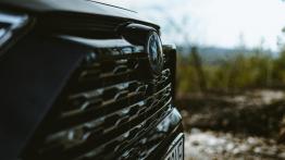 Toyota RAV4 2.5 Hybrid Dynamic Force 218 KM - galeria redakcyjna (2)