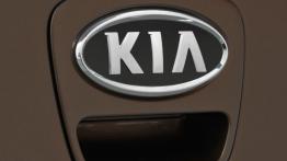 Kia Soul 2012 - emblemat