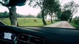 Volkswagen Golf GTI 2.0 TSI 245 KM - galeria redakcyjna (2)