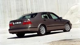 Saab 9-5 2002 - widok z tyłu