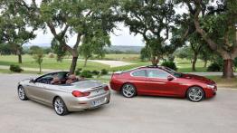 BMW seria 6 Coupe 2012 - dach