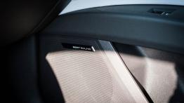 Seat Leon III Cupra 5d - galeria redakcyjna (2) - głośnik w drzwiach przednich
