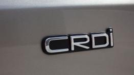 Kia ceed Sportswagon II (2012) - emblemat