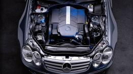 Mercedes SL 2002 - silnik