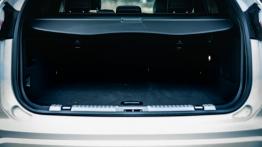 Ford Edge II SUV Facelifting 2.0 EcoBlue 190KM 140kW 2019-2020
